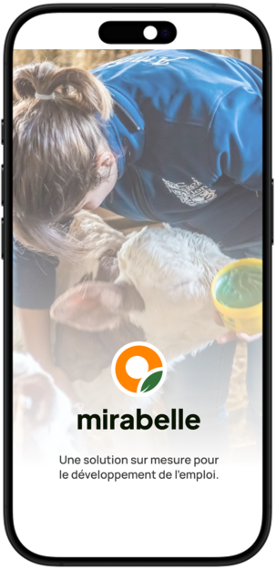 splash screen application mirabelle